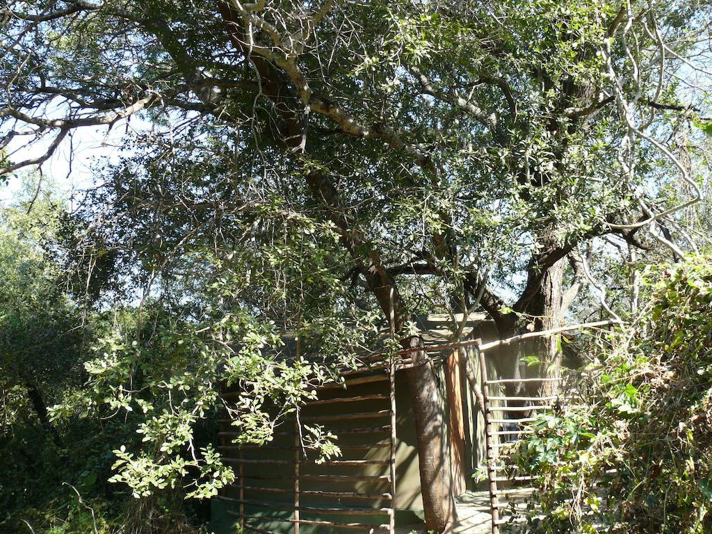 Amanzimlotzi Riverside Bush Camp Худспрут Номер фото